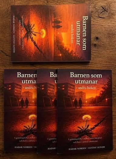 Barnen som utmanar – andra boken